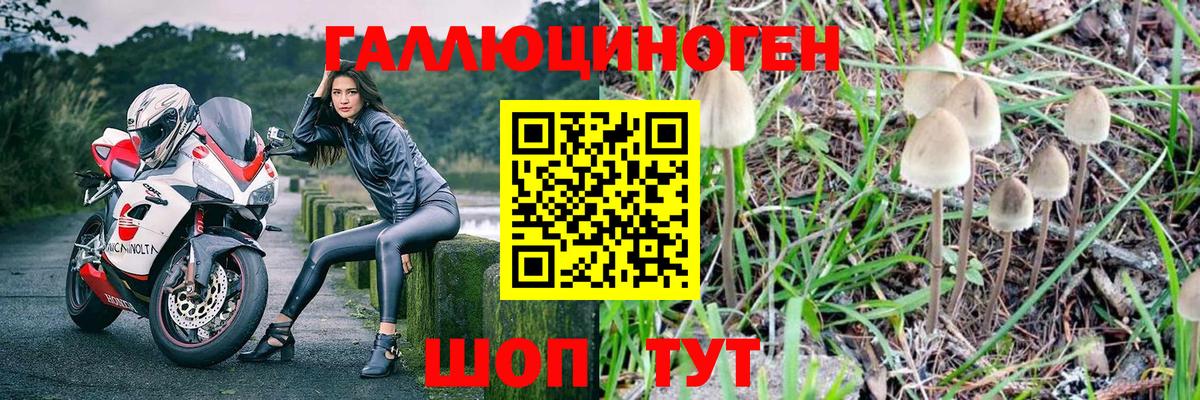 Галлюциногенные грибы мицелий  Галлюциногенные грибы мицелий  закладка  Мурманск  Вход с VPN 