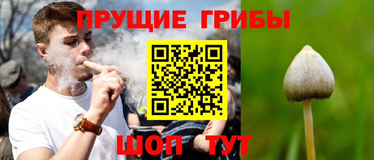 Галлюциногенные грибы прущие грибы Мурманск